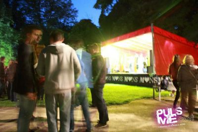 Fêtes de la Musique au Parc ! - Gallerie photo #187